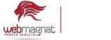 Web Mangnat Logo